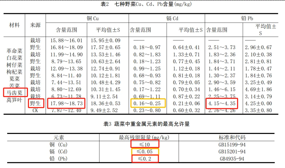 维生素C是西梅的16倍，这种菜现在吃正好