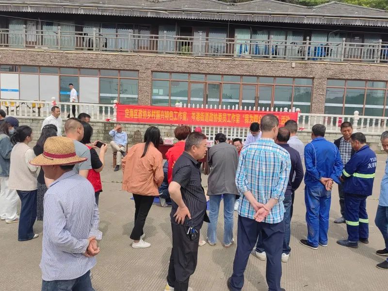 5月22日,区政协乡村振兴特色界别工作室联合岑港街道政协委员工作室