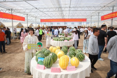 吃瓜群众有口福！长三角西甜瓜产业发展交流会在黄岩举行_浙江之声