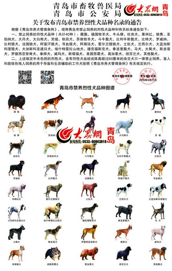 新闻  依据《青岛市养犬管理条例》规定,禁止携犬进入下列三类场所:第