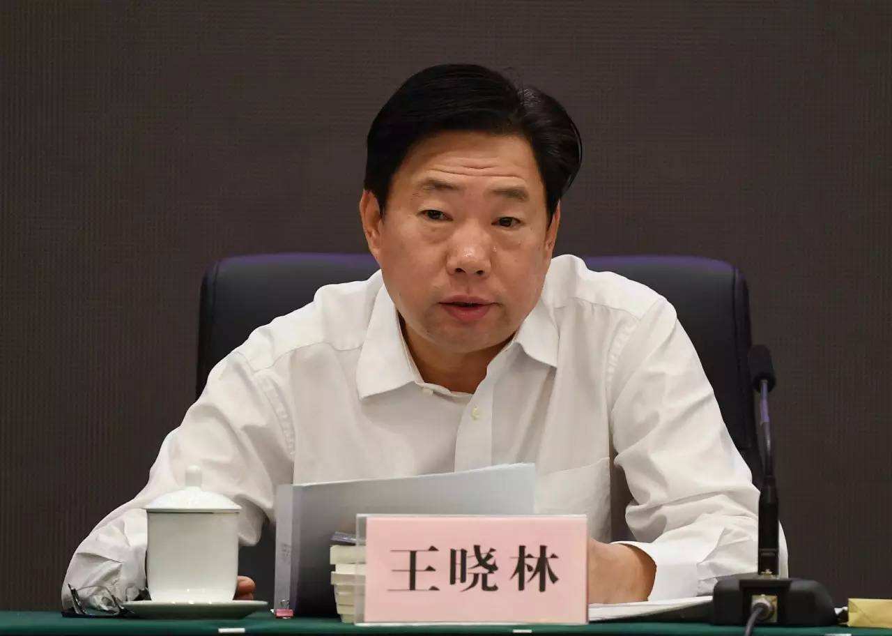 国家能源局原副局长王晓林被“双开”