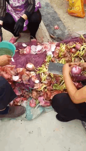 微信图片_20180927200905.gif