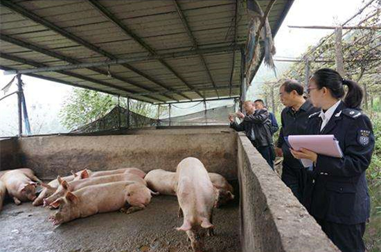 1546992597482236.jpg timg_副本.jpg