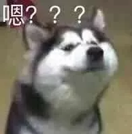 1548675602245784.png 03.png
