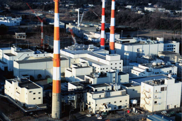 1548842600328264.jpg 6004012.jpg