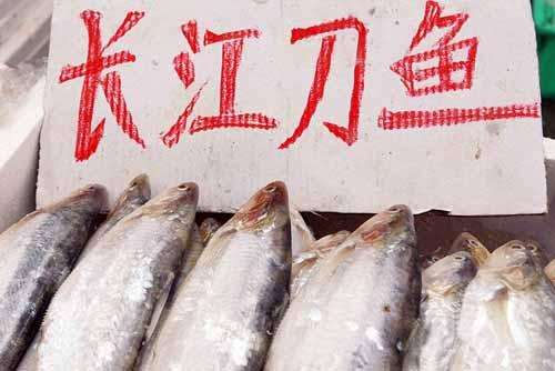 1549925080536964.jpg timg.jpg