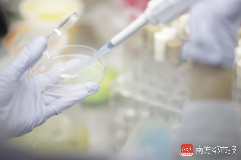 1551496051303033.jpg 4.jpg