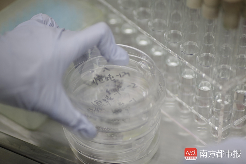 1551496078866548.jpg 5.jpg