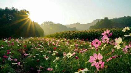 1552442061402055.jpg 08.jpg