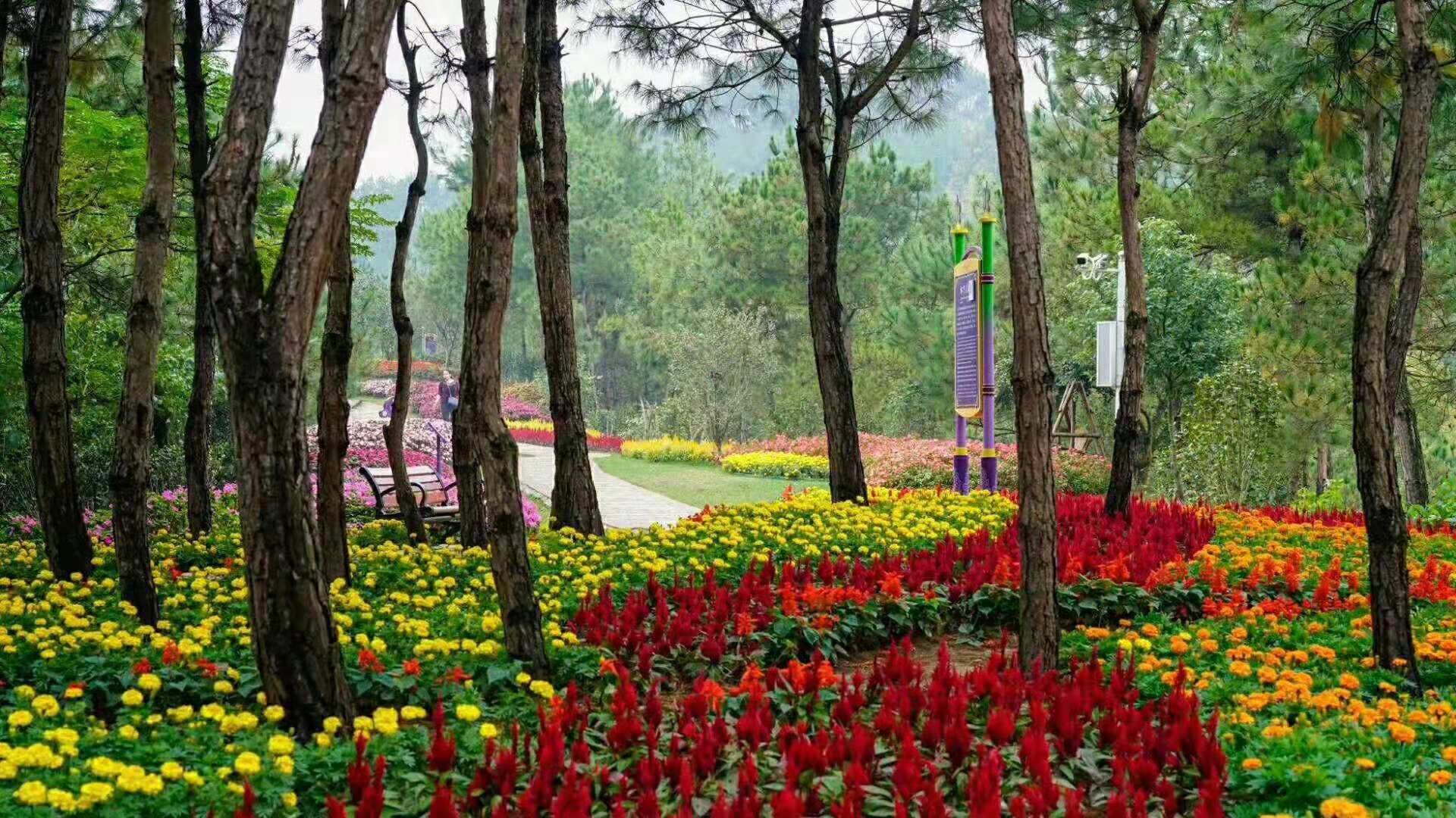 1552442086218108.jpg 03.jpg