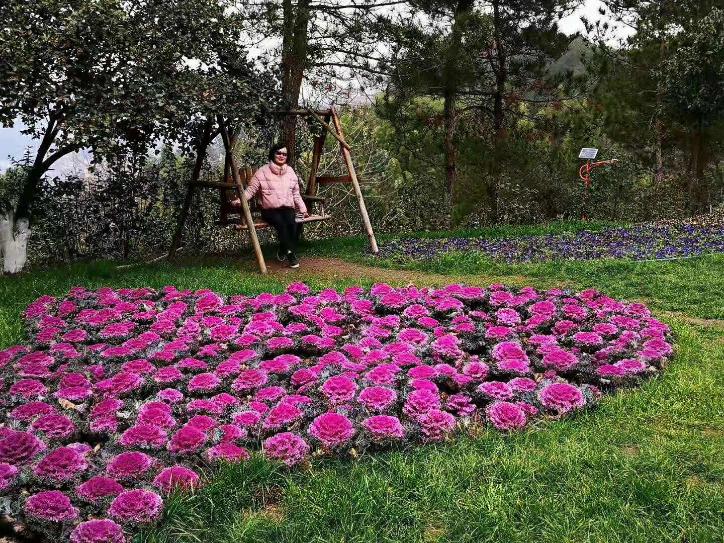 1552442142854663.jpg 06.jpg