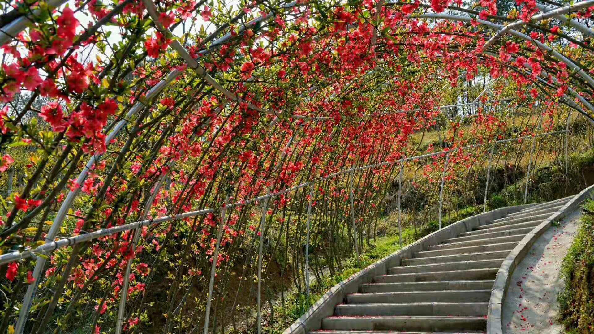 1552442118459172.jpg 04.jpg