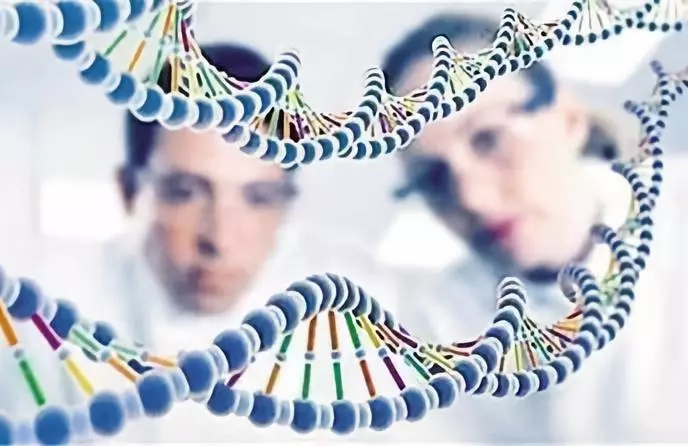 1553127131362629.jpg 640.webp.jpg