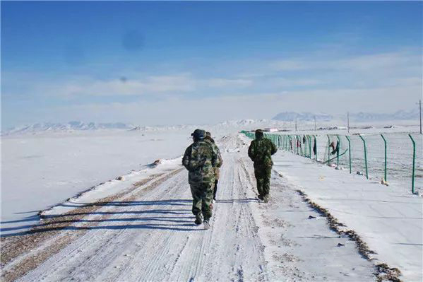 1553770782796400.jpg 罗布.jpg