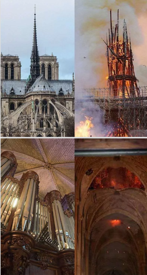 1555402102492967.png image.png