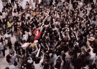 6.gif