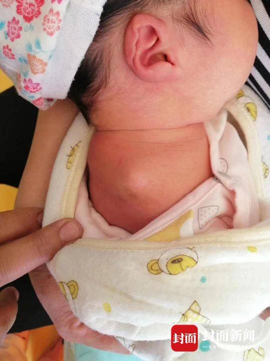 1556157228109222.jpg 2.jpg