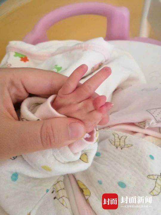 1556157268875613.jpg 5.jpg