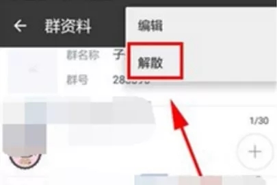 1556518456149093.jpg 640.webp.jpg