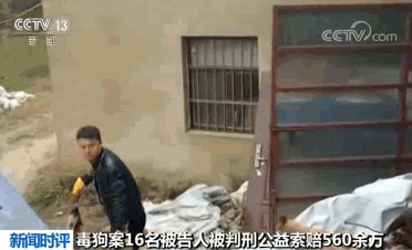 2.gif