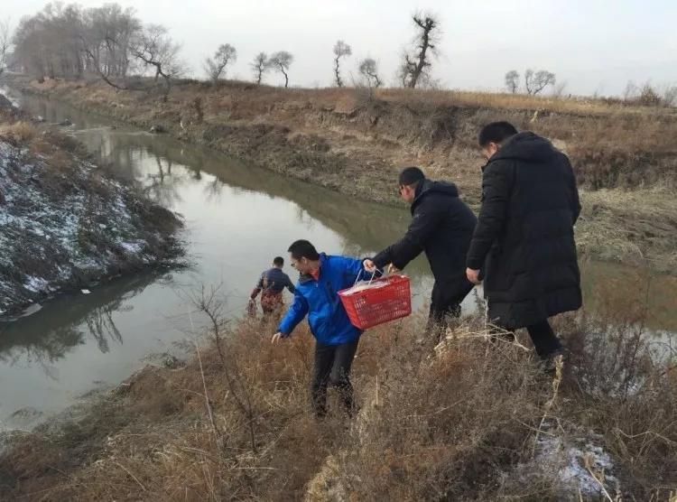 中纪委发文皮一下:文件造假怎样才不会被发现?