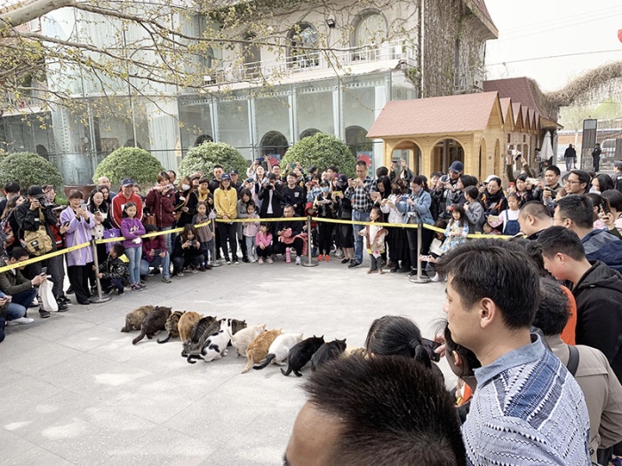 1558360385943912.jpg 观04j0.jpg