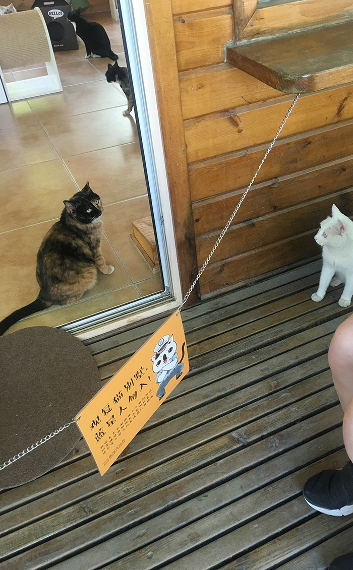 1558341601174708.jpg 观复7.jpg