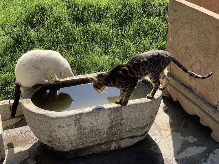 1558360911848533.jpg 观0.jpg