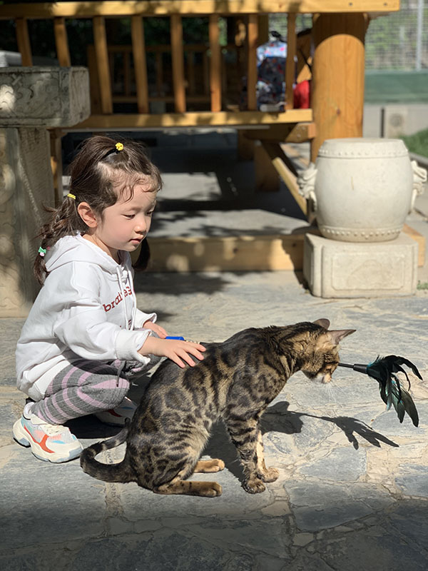 1558361071944168.jpg 观01.jpg