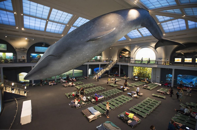 1558961810130975.png 屏幕快照 2019-05-27 下午8.56.29.png