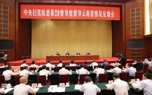 1559084132233945.jpg 3.jpg