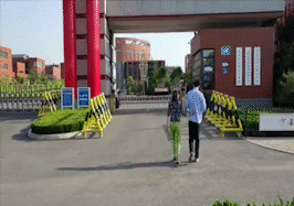 0003.gif