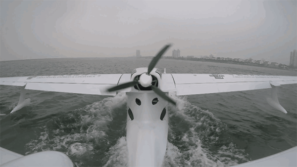 微信图片_20190624071104.gif