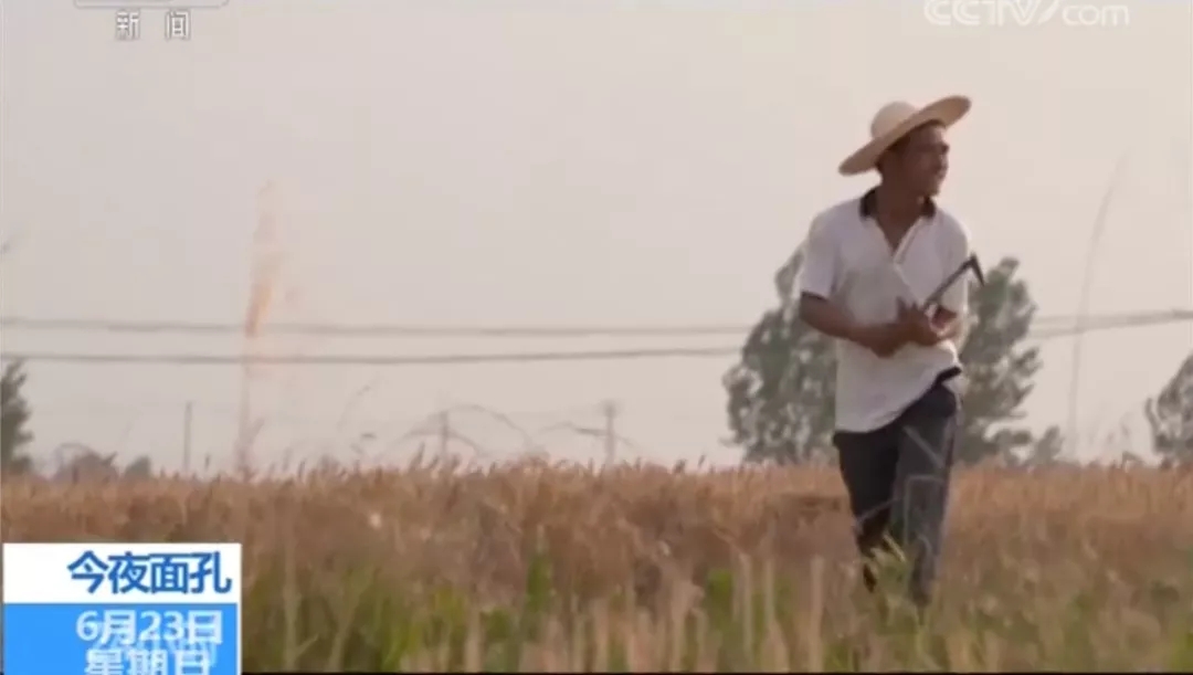 1561420534656009.jpg 640.webp (3).jpg