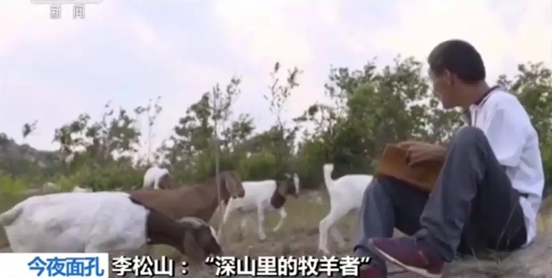 1561420596854048.jpg 640.webp (4).jpg