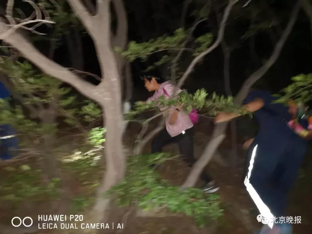 1561976392989334.jpg 4.jpg