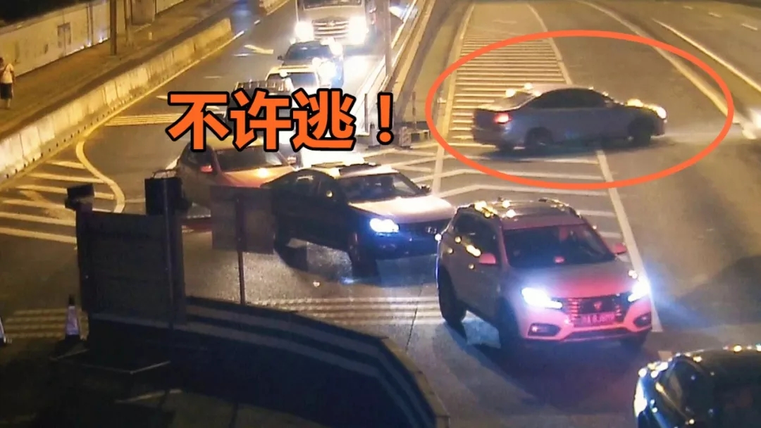 本文图均为 上海嘉定微信公众号 图