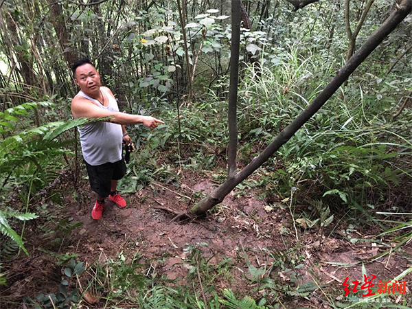 村民说受害人被拴在这棵树上,嘴被封住,地上的草被受害人踩光了