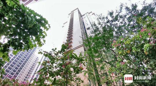 1562807116298718.jpeg 22.jpeg