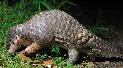 1562821798393173.png 06.png