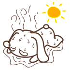 1564737477159153.gif 3.gif