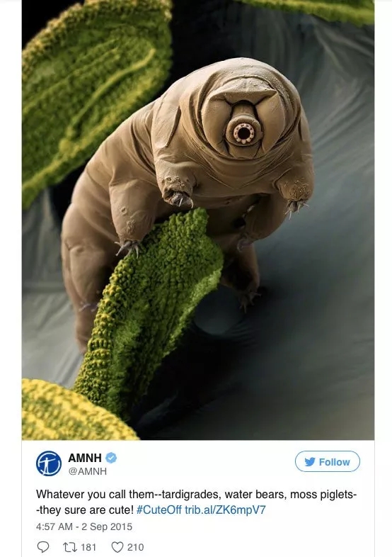 1565344552771666.jpg 23.jpg