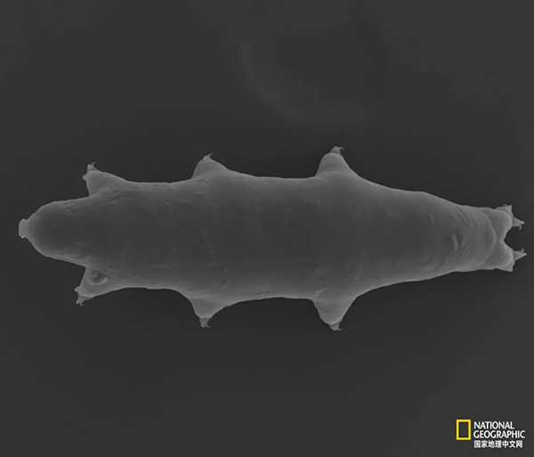 1565344566837180.jpg 34.jpg