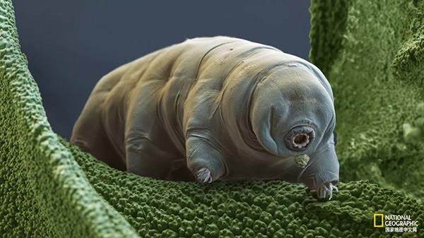 1565344651433186.jpg 78.jpg