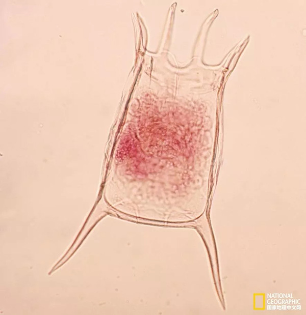 1565344715867051.jpg 10.jpg