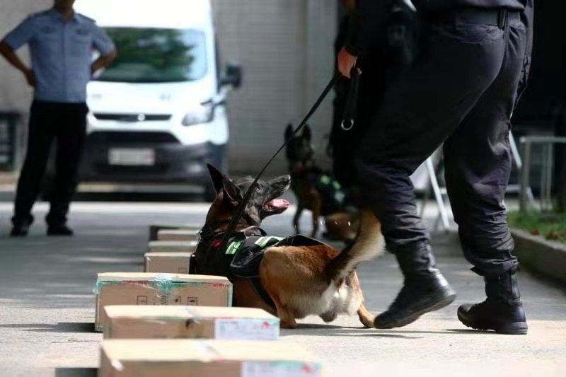 中国警犬又添新技能 可搜索新型炸药与枪弹
