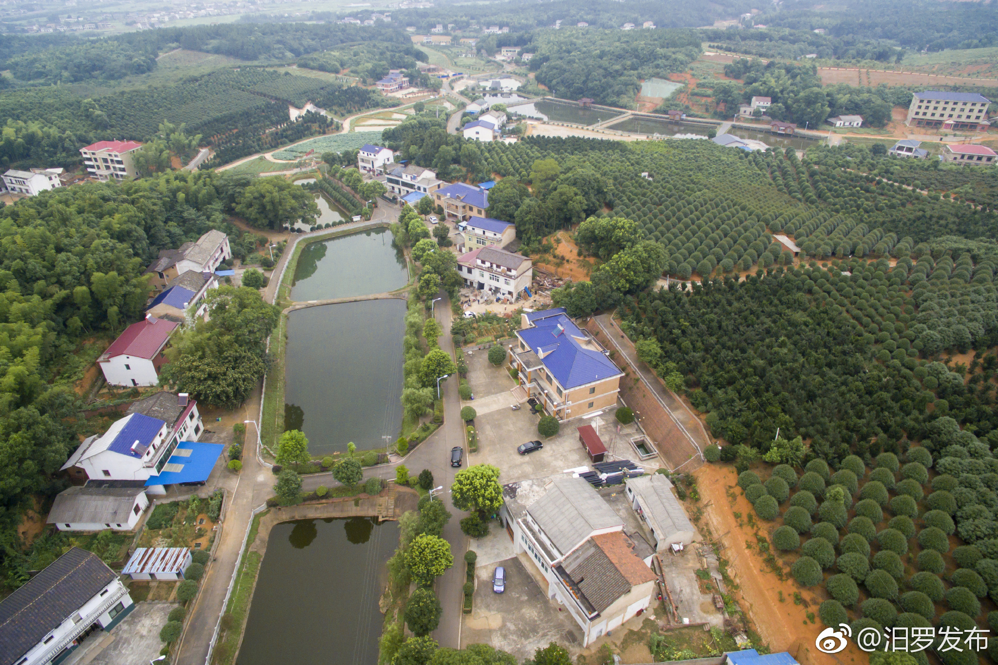 汨羅白水鎮西長村