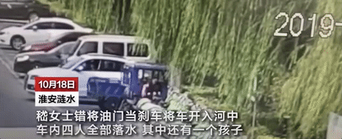 1571620868171924.gif 640.gif