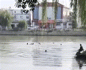 1571621328843302.gif 640-21.gif