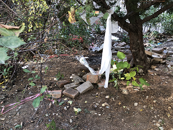 1572162923545637.jpg 3.jpg